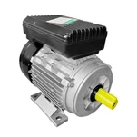 AC -induksjonsmotor en enkelt fase